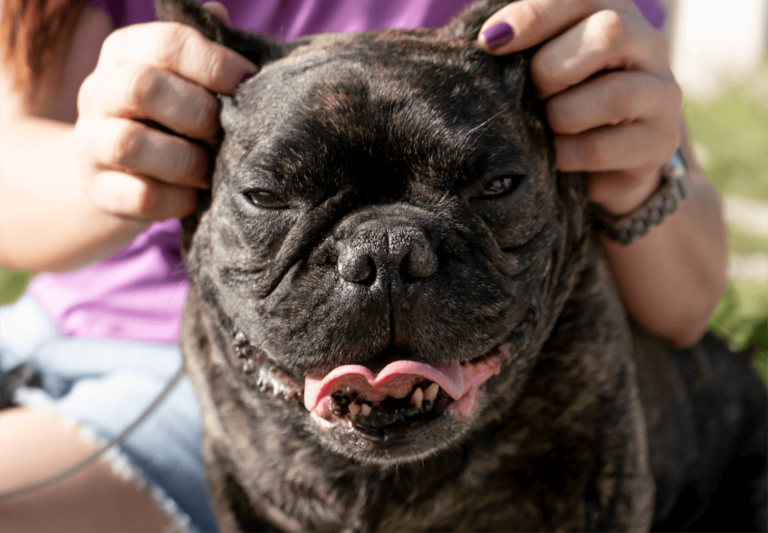 Leia mais sobre o artigo Neque adipiscing an cursus